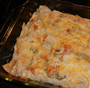 fresh baked cheesy seafood enchiladas