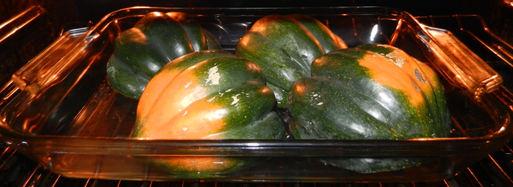 acorn squash, winter squash, baking squash