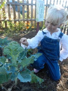 Closely examining fresh broccoli