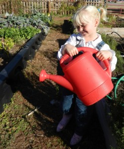 My garden princess, helping with our plot